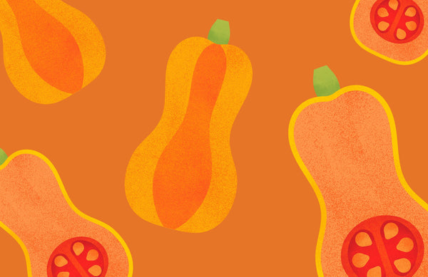 butternut squash illustrations on an orange background
