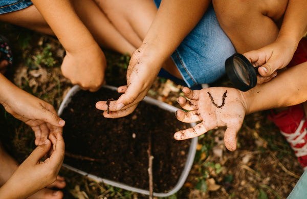 kids looking for worms in a bucket of soil