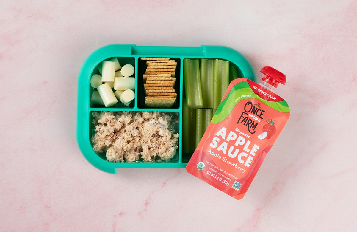 5 Balanced School Lunch Ideas for Kids