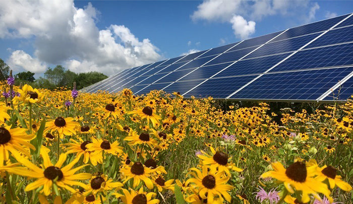 Our Commitment to a Better Future