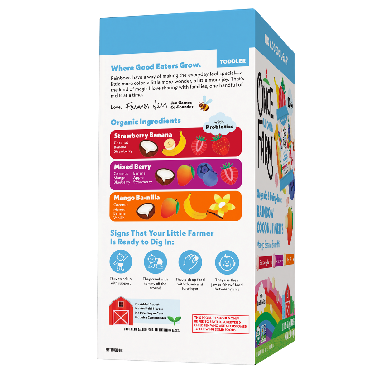 Toddler-sized box of Rainbow Co. Organic Baby Food, featuring colorful front panels with product information, ingredient illustrations, and branding on a white background.