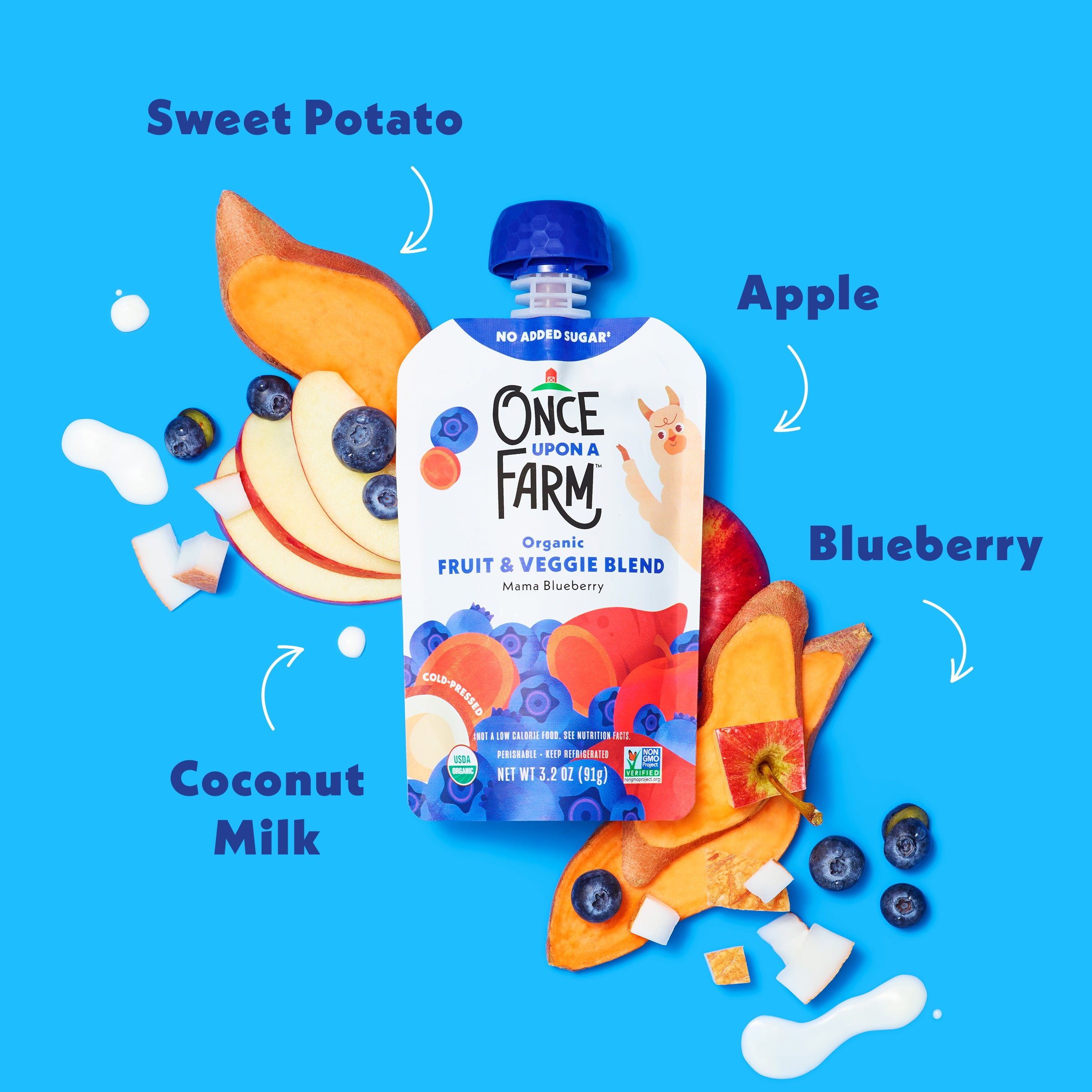 Mama Blueberry ingredients on a light blue background