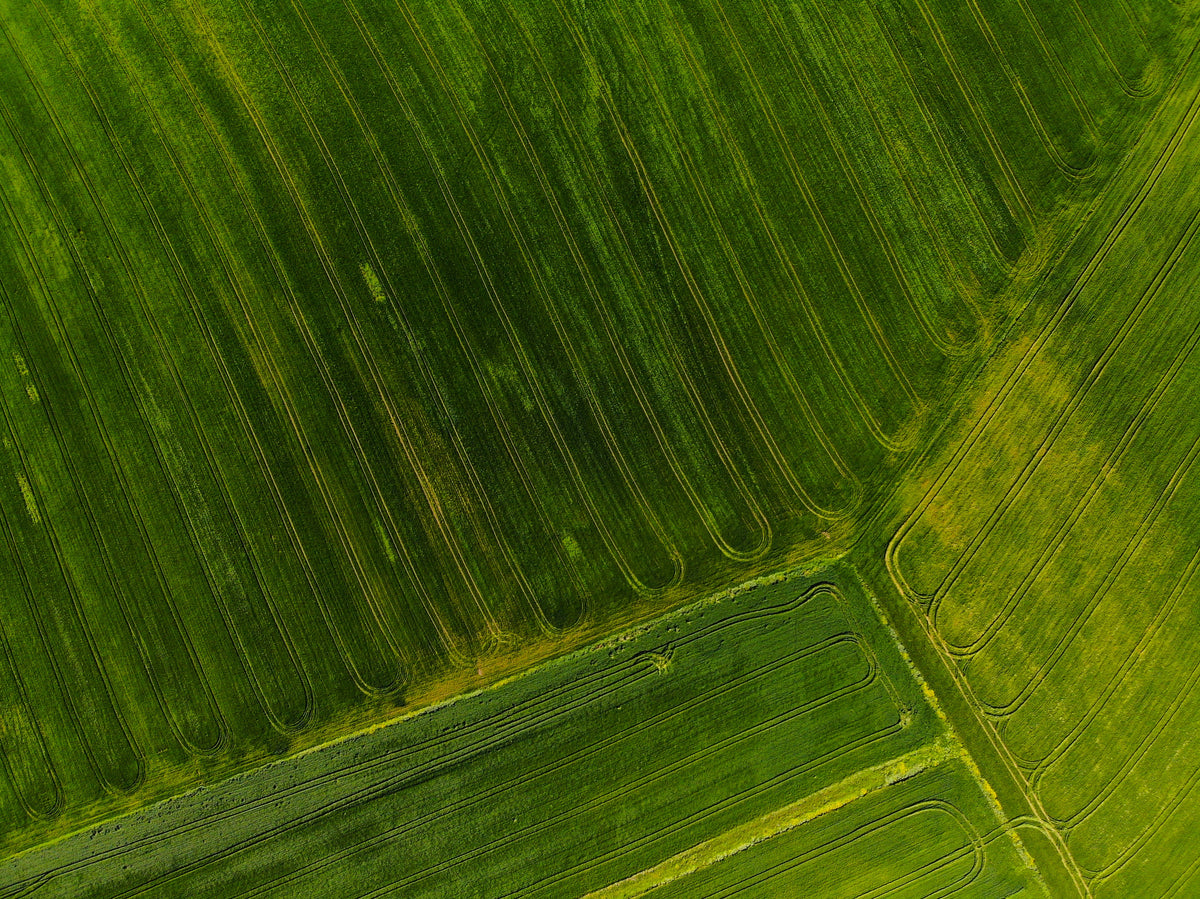 Background Image of a Vibrant Green Farm Shot from Above